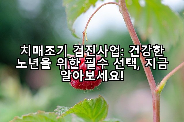 치매조기 검진사업: 건강한 노년을 위한 필수 선택, 지금 알아보세요!